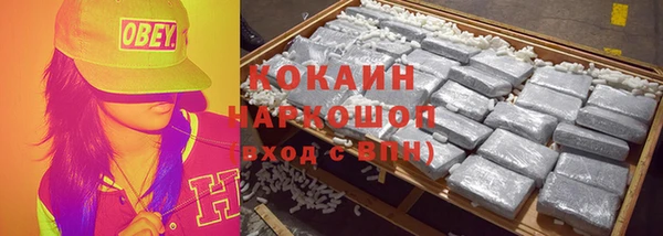 гидра Вязьма